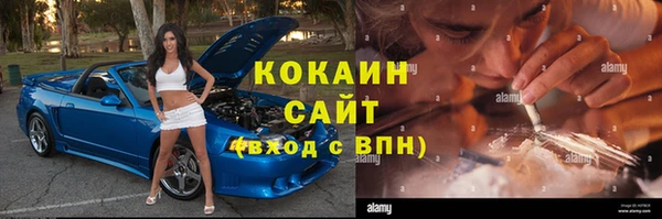 индика Медногорск