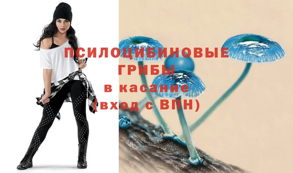 меф Медвежьегорск