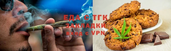 индика Медногорск