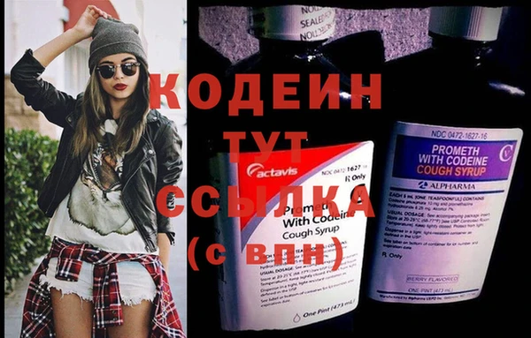 индика Медногорск