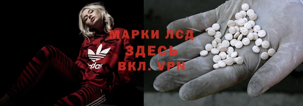 индика Медногорск