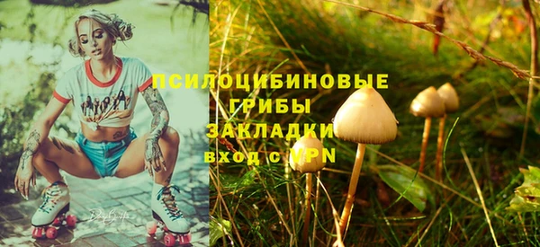 меф Медвежьегорск