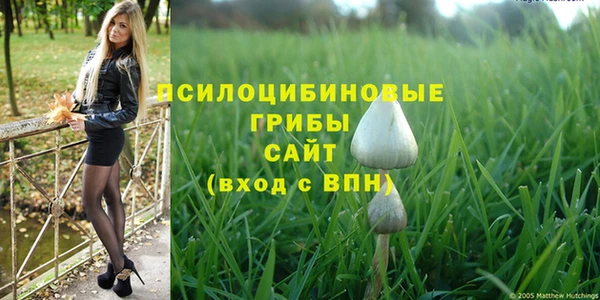 прущая мука Мегион