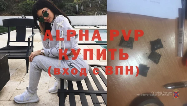 индика Медногорск