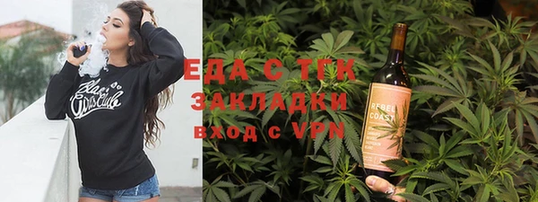 индика Медногорск