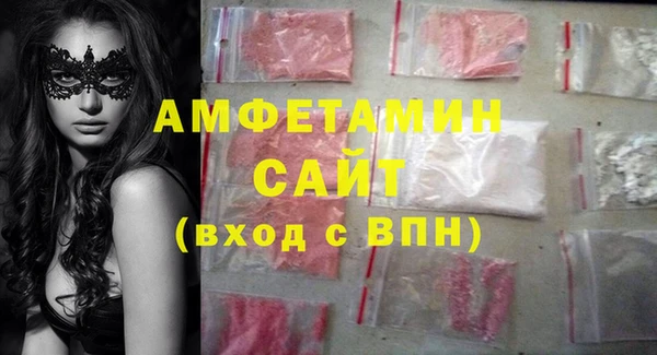 индика Медногорск